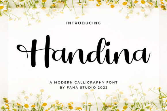 Handina: A Romantic Script Font