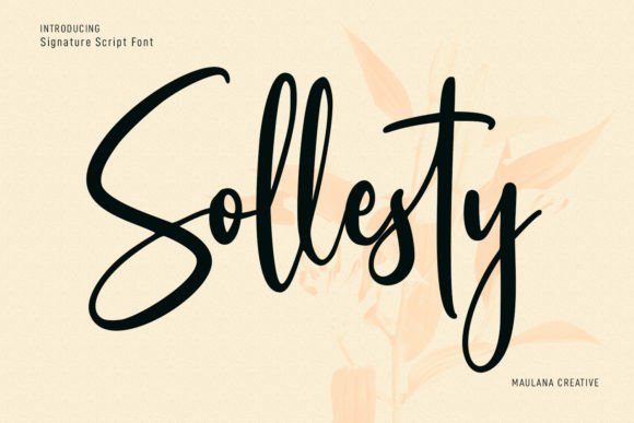 Sollesty: A Modern Script Font